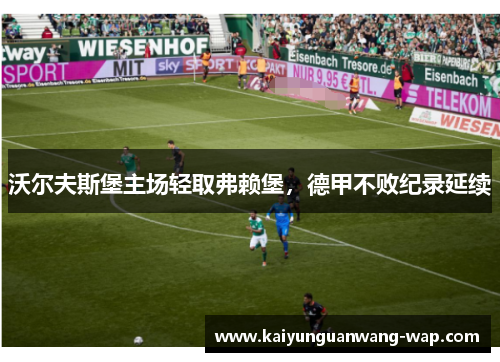 沃尔夫斯堡主场轻取弗赖堡，德甲不败纪录延续
