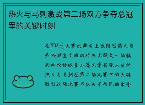 热火与马刺激战第二场双方争夺总冠军的关键时刻